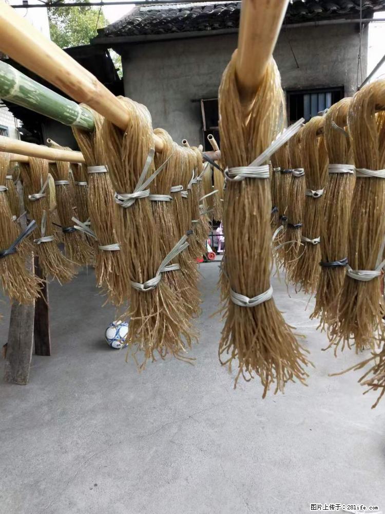【灌阳正宗红薯粉】美女家里自己做的，干净卫生，假一赔十，价格合理，抢购电话：13737312895 - 美食天地 - 天门生活社区 - 天门28生活网 tm.28life.net