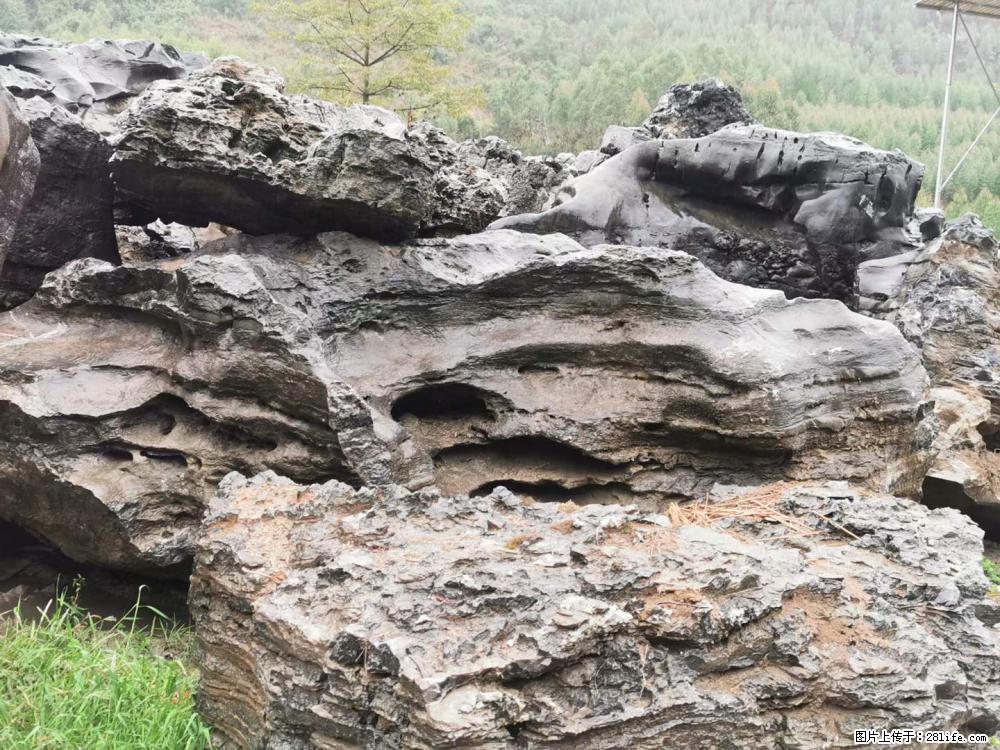 风景石、假山石大量有货，有需要的欢迎联系 - 新手上路 - 天门生活社区 - 天门28生活网 tm.28life.net