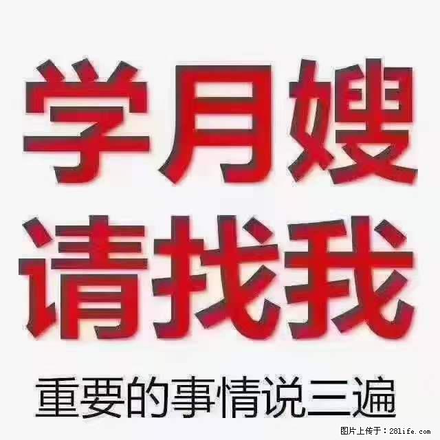 为什么要学习月嫂，育婴师？ - 其他广告 - 广告专区 - 天门分类信息 - 天门28生活网 tm.28life.net