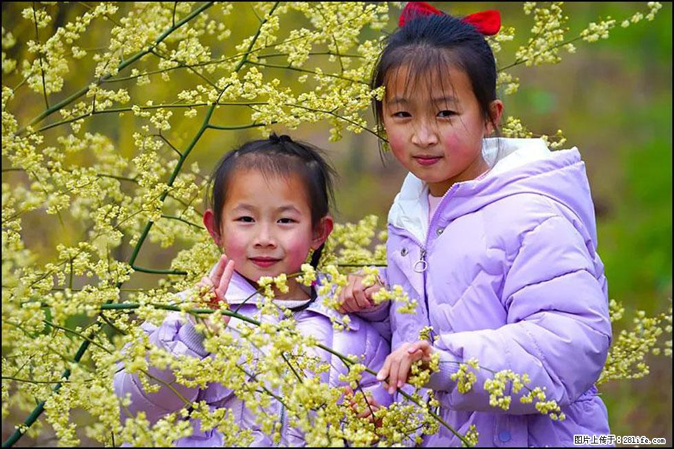 【春天，广西桂林灌阳县向您发出邀请！】米珠山前有片山苍子花在飘香 - 游山玩水 - 天门生活社区 - 天门28生活网 tm.28life.net