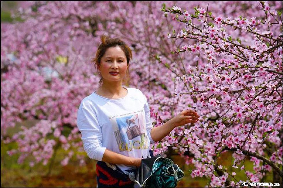 【春天，广西桂林灌阳县向您发出邀请！】官庄村有个醉美的桃花园 - 游山玩水 - 天门生活社区 - 天门28生活网 tm.28life.net