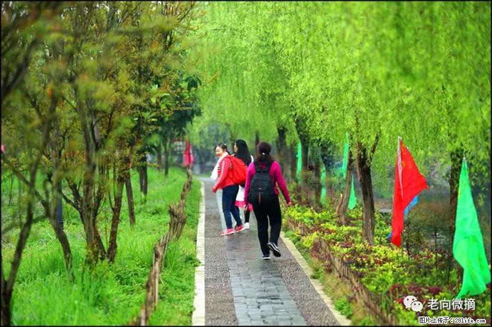 【春天，广西桂林灌阳县向您发出邀请！】江口老街又逢春 - 游山玩水 - 天门生活社区 - 天门28生活网 tm.28life.net