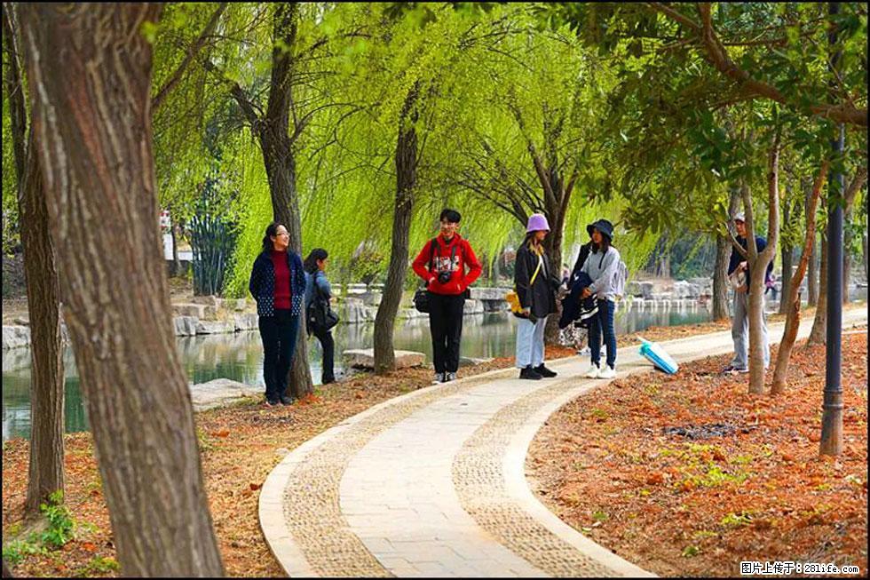 【春天，广西桂林灌阳县向您发出邀请！】江口老街又逢春 - 游山玩水 - 天门生活社区 - 天门28生活网 tm.28life.net