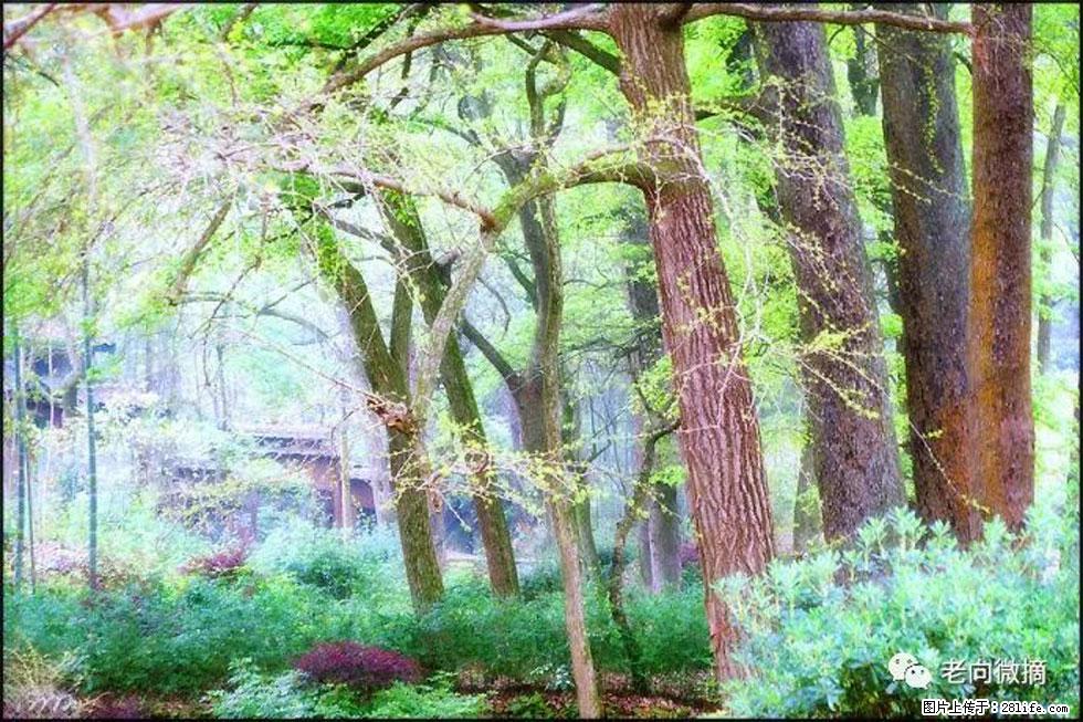 【春天，广西桂林灌阳县向您发出邀请！】在小龙村与春天约会 - 游山玩水 - 天门生活社区 - 天门28生活网 tm.28life.net
