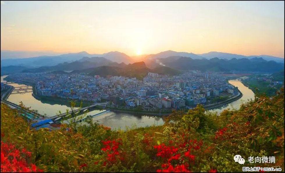 【春天，广西桂林灌阳县向您发出邀请！】登麒麟山，相约映山红 - 游山玩水 - 天门生活社区 - 天门28生活网 tm.28life.net