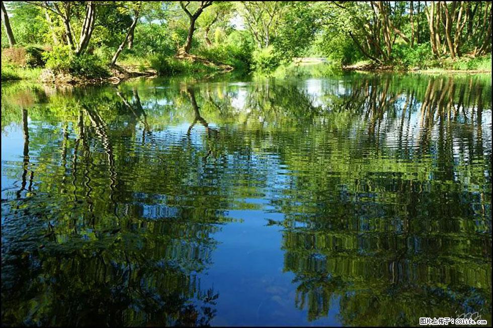 【春天，广西桂林灌阳县向您发出邀请！】熊家寨湿地公园 - 游山玩水 - 天门生活社区 - 天门28生活网 tm.28life.net
