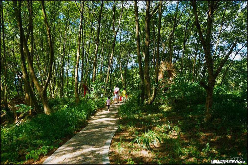 【春天，广西桂林灌阳县向您发出邀请！】熊家寨湿地公园 - 游山玩水 - 天门生活社区 - 天门28生活网 tm.28life.net