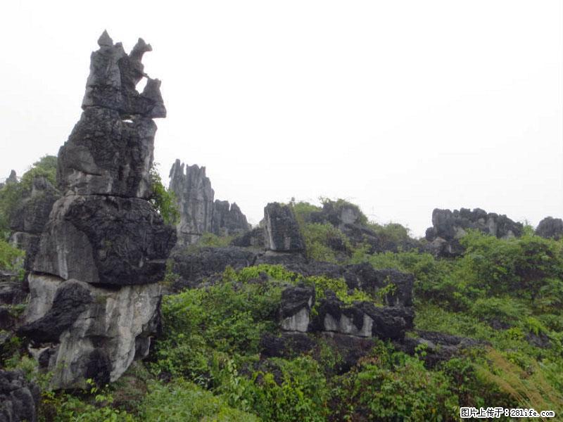 桂林旅游名城景点:灌阳文市石林 - 游山玩水 - 天门生活社区 - 天门28生活网 tm.28life.net