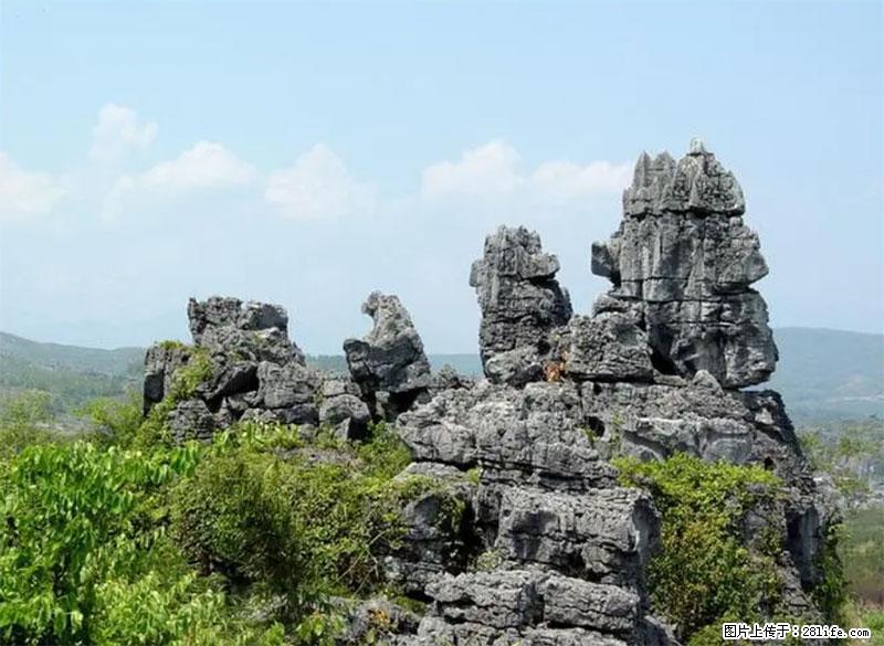 桂林旅游名城景点:灌阳文市石林 - 游山玩水 - 天门生活社区 - 天门28生活网 tm.28life.net