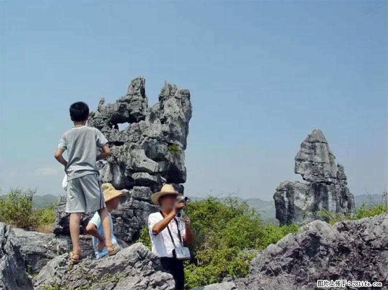 桂林旅游名城景点:灌阳文市石林 - 游山玩水 - 天门生活社区 - 天门28生活网 tm.28life.net
