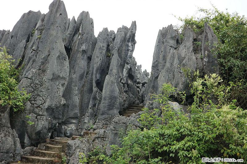 桂林旅游名城景点:灌阳文市石林 - 游山玩水 - 天门生活社区 - 天门28生活网 tm.28life.net