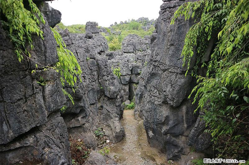 桂林旅游名城景点:灌阳文市石林 - 游山玩水 - 天门生活社区 - 天门28生活网 tm.28life.net