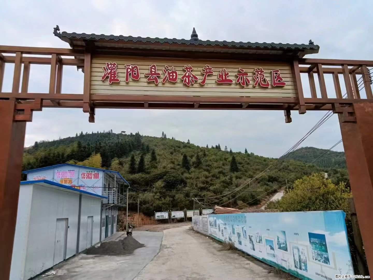 【灌阳县油茶产业示范区】一个有着充实的精神生活的人,对待身外之物自会有一种淡泊的态度 - 土特产 - 饮食特产 - 天门分类信息 - 天门28生活网 tm.28life.net