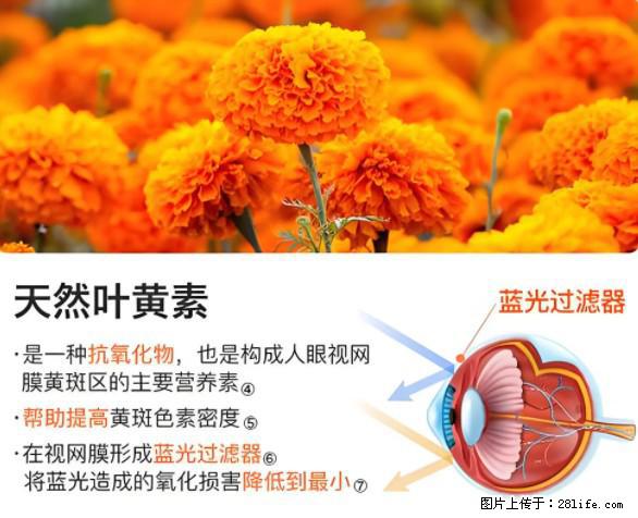 叶黄素有什么功效和作用 - 生活百科 - 天门生活社区 - 天门28生活网 tm.28life.net