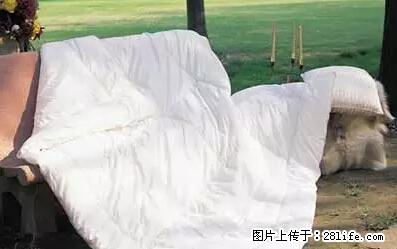 被子有异味?只要这样做,比晒太阳还强100倍! - 家居生活 - 天门生活社区 - 天门28生活网 tm.28life.net