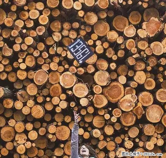 辞掉工作周游世界？现在他们在洗厕所…… - 游山玩水 - 天门生活社区 - 天门28生活网 tm.28life.net