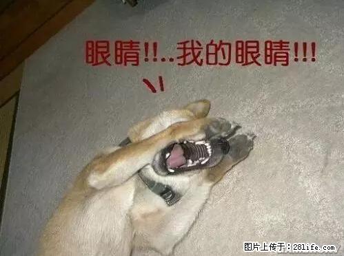 笑癫了！一女的怀孕三年未生，他终于忍不住了... - 娱乐八卦 - 天门生活社区 - 天门28生活网 tm.28life.net