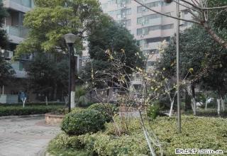 新城五期魅力风景湾优质房源出租，2室2厅一卫，拎包入住。 - 天门28生活网 tm.28life.net