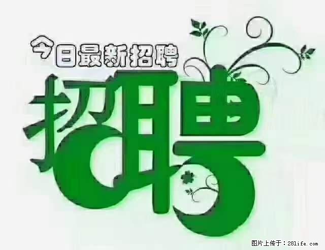 上海隔离酒店招人：55岁以下 男女不限 - 职场交流 - 天门生活社区 - 天门28生活网 tm.28life.net