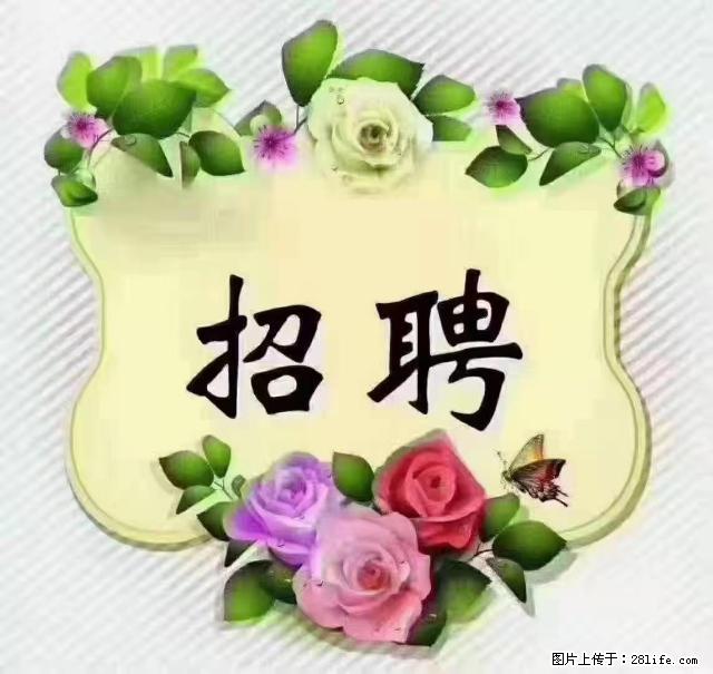 【招聘】住家育儿嫂，上户日期：4月4日，工作地址：上海 黄浦区 - 职场交流 - 天门生活社区 - 天门28生活网 tm.28life.net