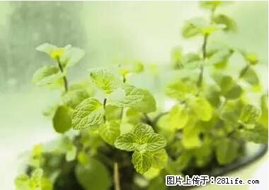 晕车、脚气、牙齿变黄、皮肤粗糙？学会这些三分钟搞定！ - 天门生活资讯 - 天门28生活网 tm.28life.net