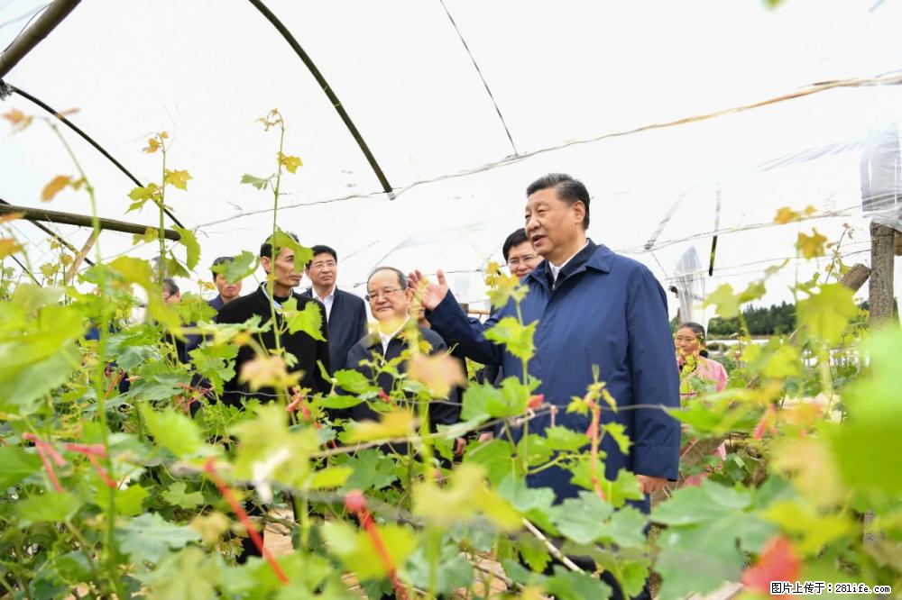 习近平赴广西考察调研 - 天门生活资讯 - 天门28生活网 tm.28life.net