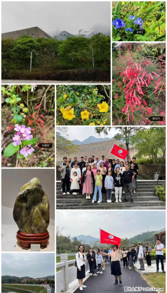 “粤灌文化 美好生活”油茶文化主题活动在广东深圳成功举办 - 天门生活资讯 - 天门28生活网 tm.28life.net