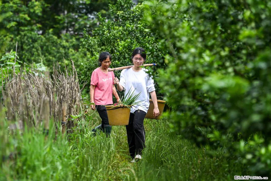 全网追的“扁担女孩”，找了一份暑假工，时薪12元 - 天门生活资讯 - 天门28生活网 tm.28life.net
