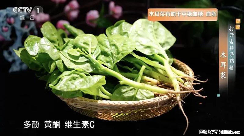 比牛奶补钙还厉害！凉血解毒、稳血糖...这菜冬天必吃，很多人却当草 - 天门生活资讯 - 天门28生活网 tm.28life.net