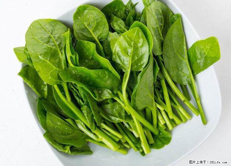 这些蔬菜是“天然钙片”，这6种被医生重点推荐 - 天门生活资讯 - 天门28生活网 tm.28life.net