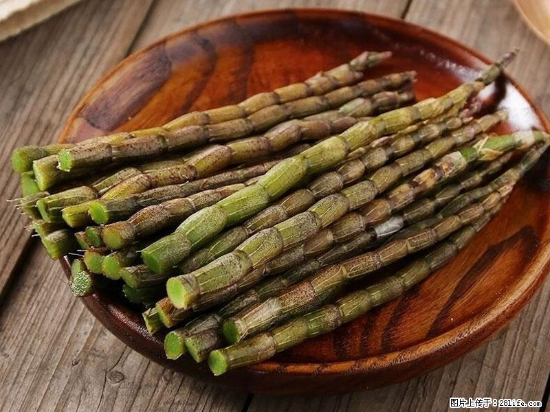 铁皮石斛的作用与功能主治 - 天门生活资讯 - 天门28生活网 tm.28life.net